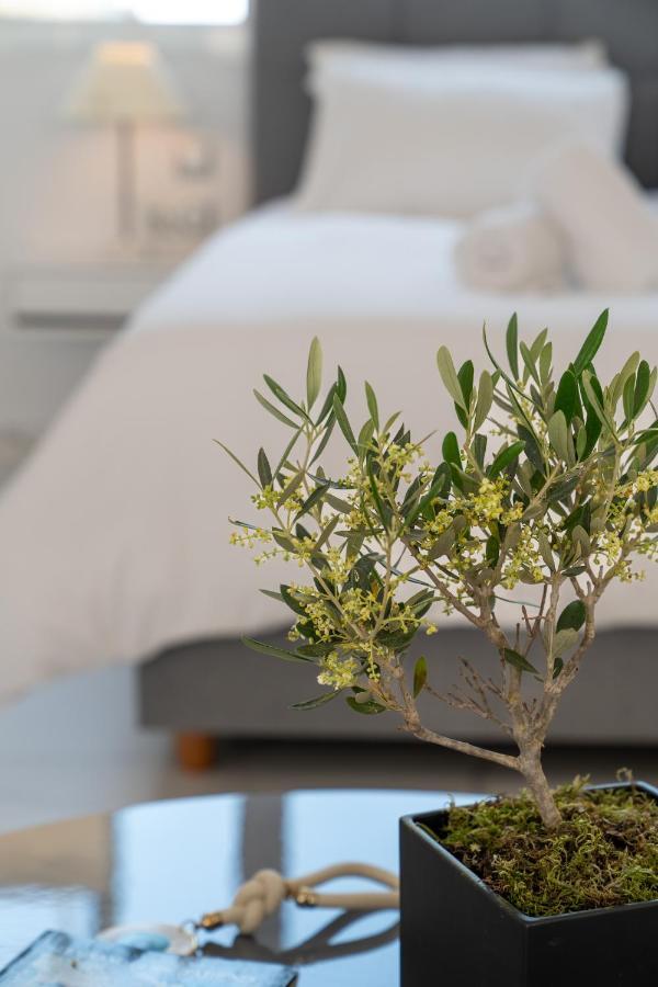 Olvar Suites Athene Buitenkant foto
